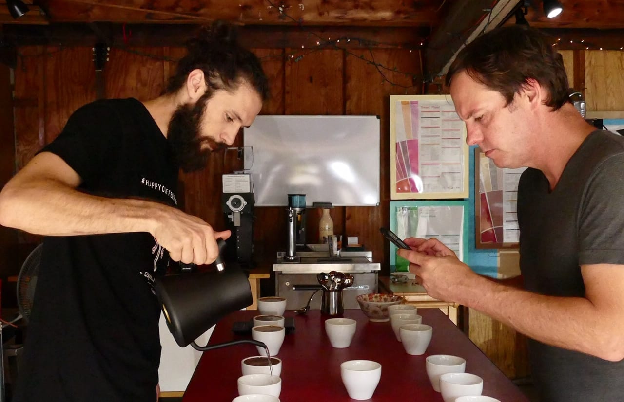 Sensory Professional SCA /Coffee Cupping and Tasting