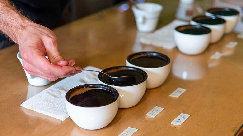 Sensory Analysis of Coffee