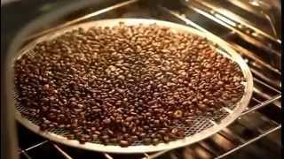 Roasting Coffee with oven