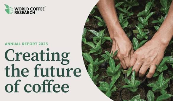 creating the future for coffee